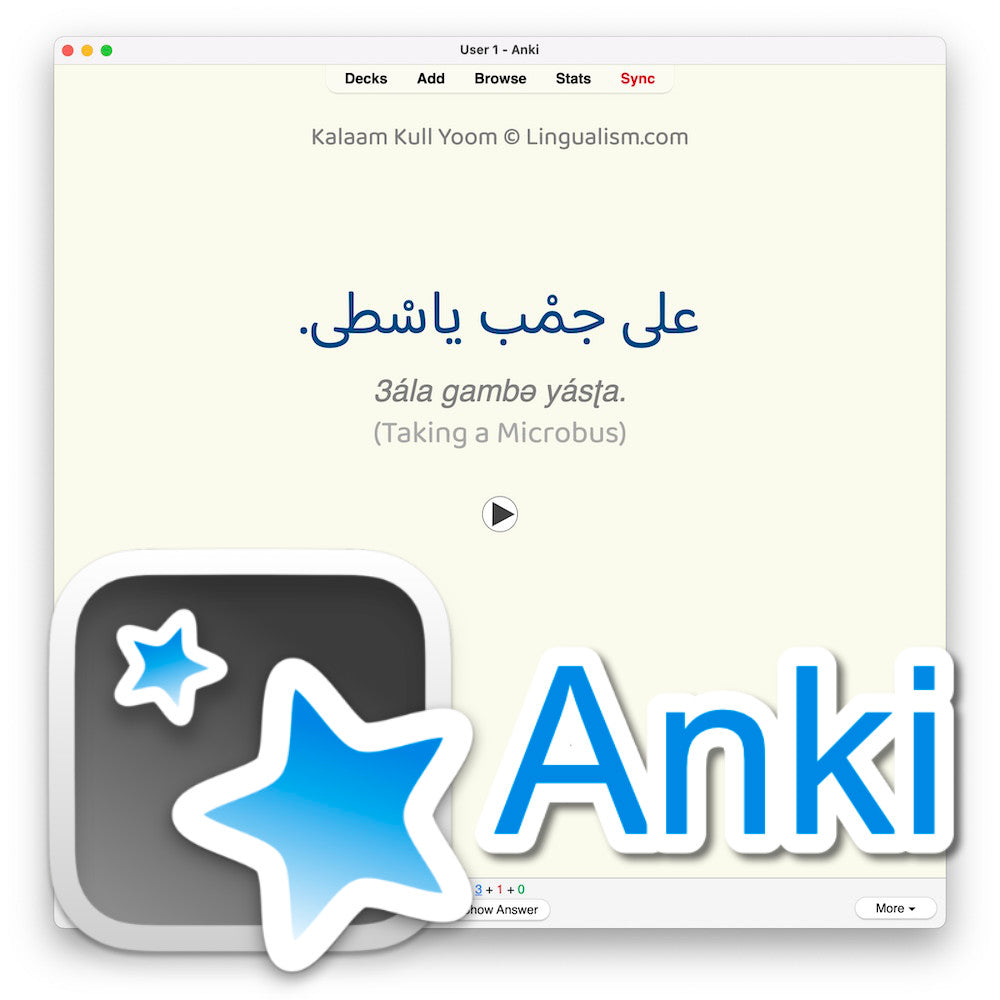 Kalaam Kull Yoom 1: Anki Flashcards