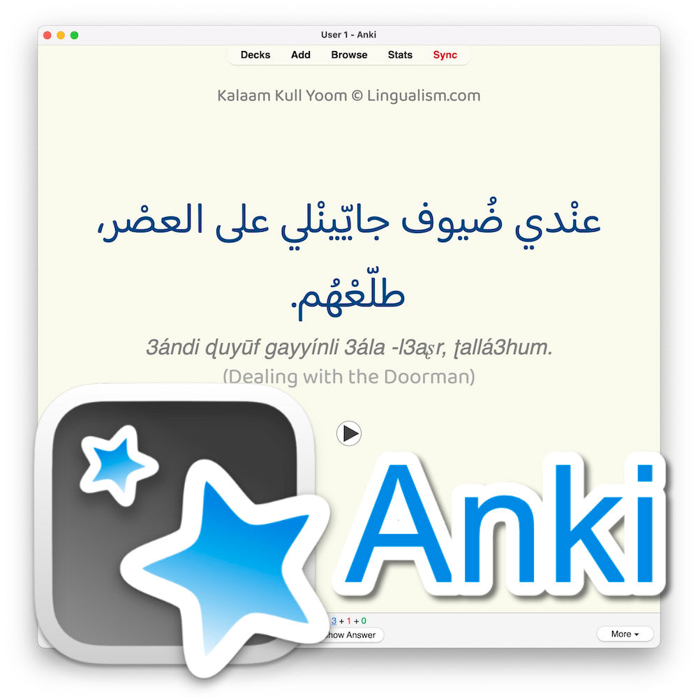 Kalaam Kull Yoom 2: Anki Flashcards