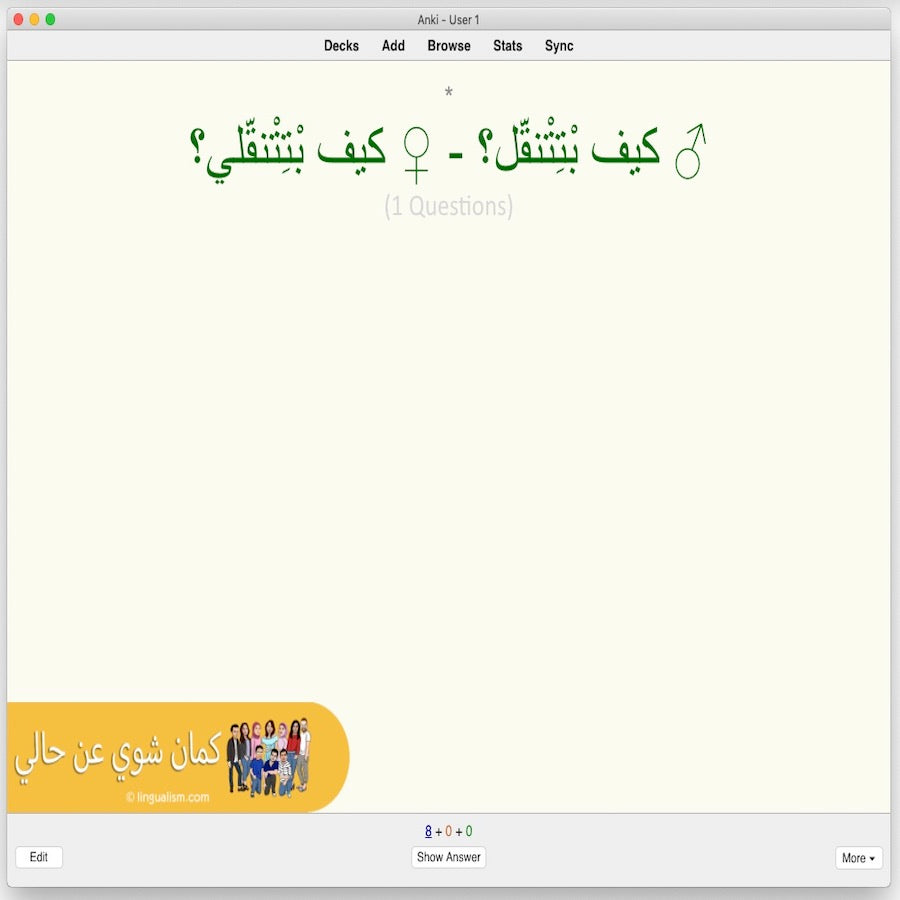 Kameen Shwayy 'An Haali: Anki Flashcards