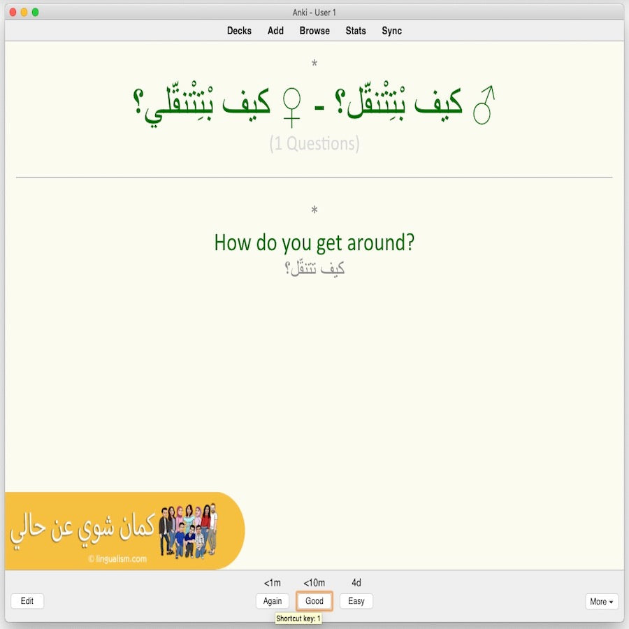Kameen Shwayy 'An Haali: Anki Flashcards