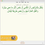 Kameen Shwayy 'An Haali: Anki Flashcards