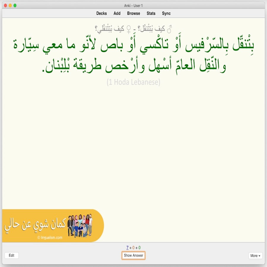 Kameen Shwayy 'An Haali: Anki Flashcards