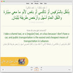 Kameen Shwayy 'An Haali: Anki Flashcards