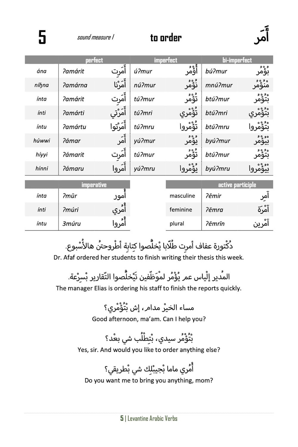 Levantine Arabic Verbs