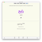 Lebanese Arabic Verb Conjugation Drills: Anki Flashcards (Set 1)