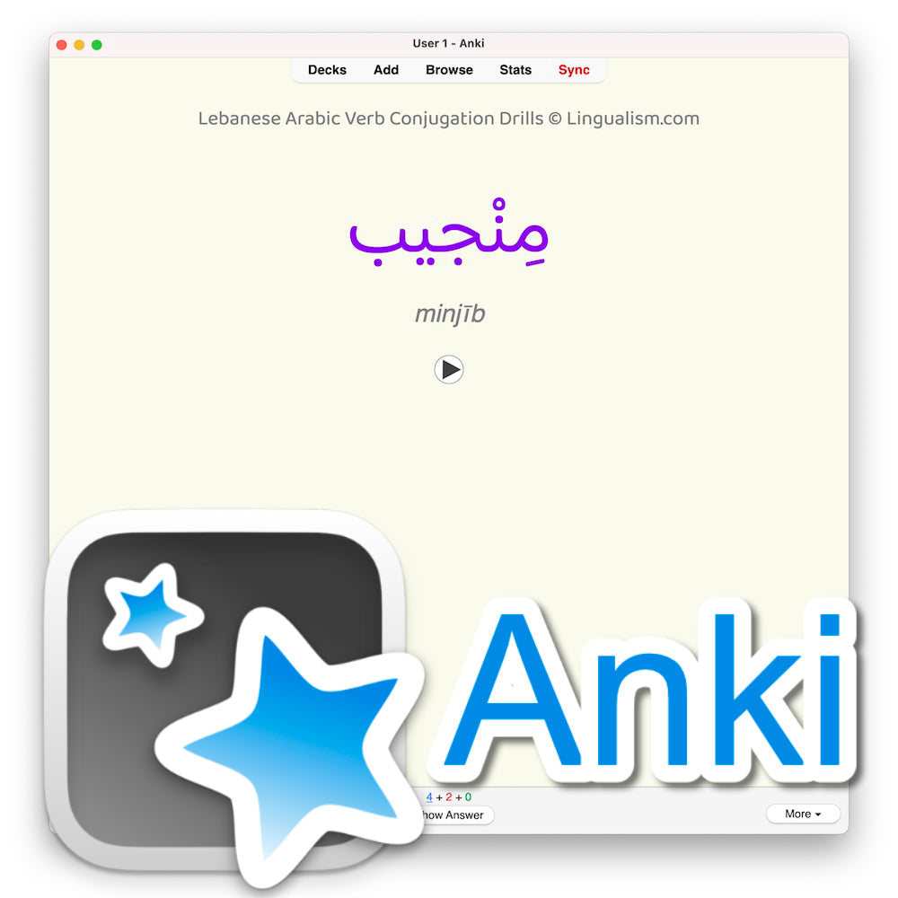 Lebanese Arabic Verb Conjugation Drills: Anki Flashcards (Set 2)