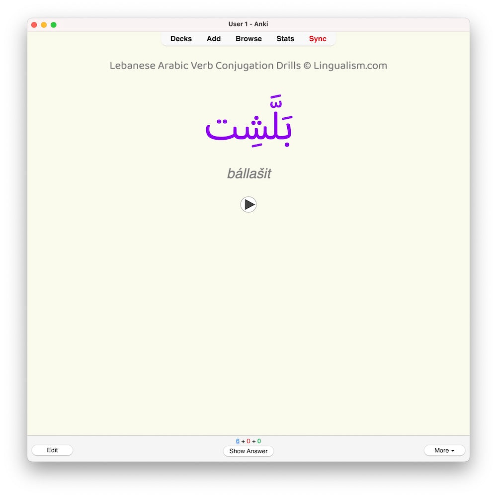 Lebanese Arabic Verb Conjugation Drills: Anki Flashcards (Set 2)