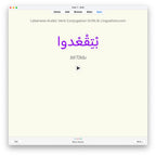 Lebanese Arabic Verb Conjugation Drills: Anki Flashcards (Set 3)