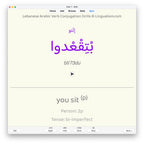 Lebanese Arabic Verb Conjugation Drills: Anki Flashcards (Set 3)
