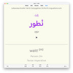 Lebanese Arabic Verb Conjugation Drills: Anki Flashcards (Set 3)