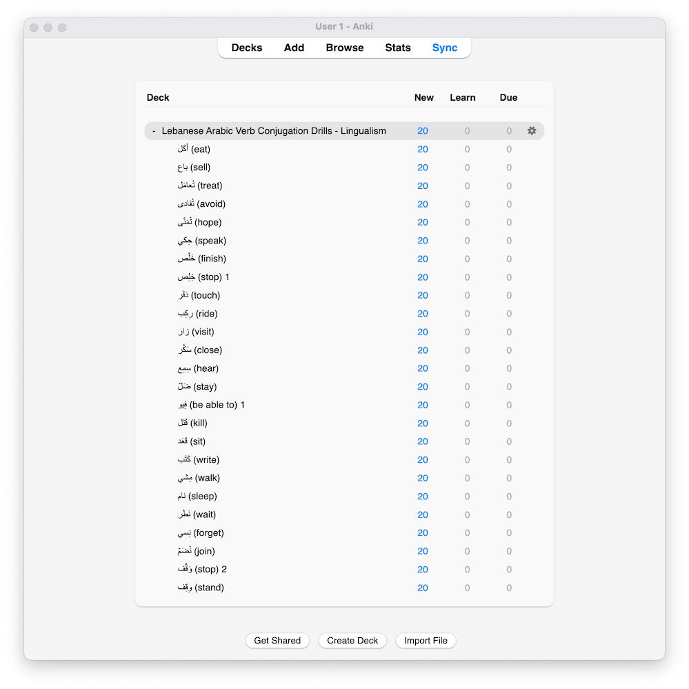 Lebanese Arabic Verb Conjugation Drills: Anki Flashcards (Set 3)