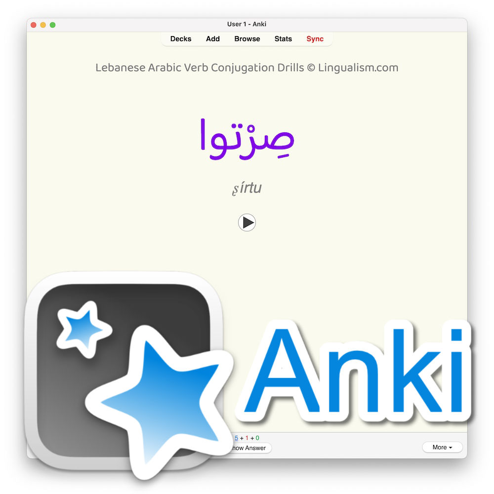 Lebanese Arabic Verb Conjugation Drills: Anki Flashcards (Set 4)