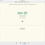 Levantine Colloquial Arabic Vocabulary: Anki Flashcards