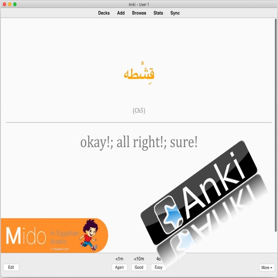 Mido in Egyptian Arabic: Anki Flashcards