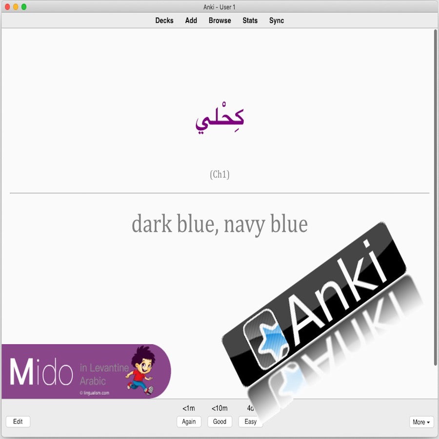 Mido in Levantine Arabic: Anki Flashcards