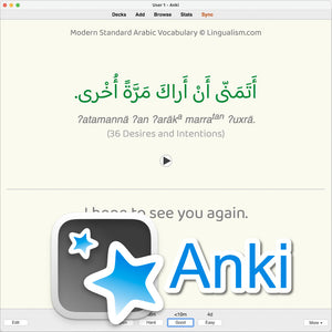 Modern Standard Arabic Vocabulary: Anki Flashcards