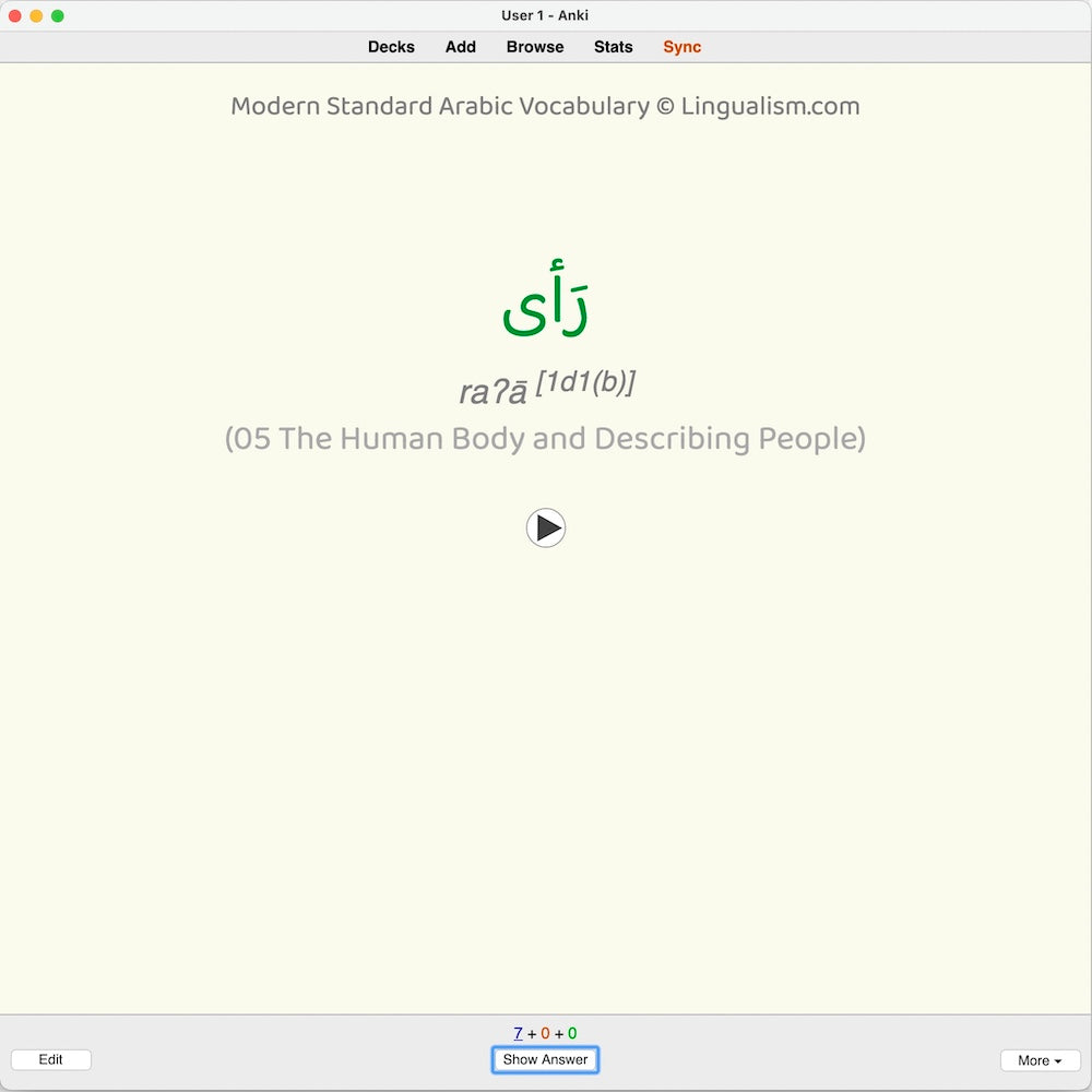 Modern Standard Arabic Vocabulary: Anki Flashcards