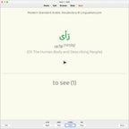 Modern Standard Arabic Vocabulary: Anki Flashcards