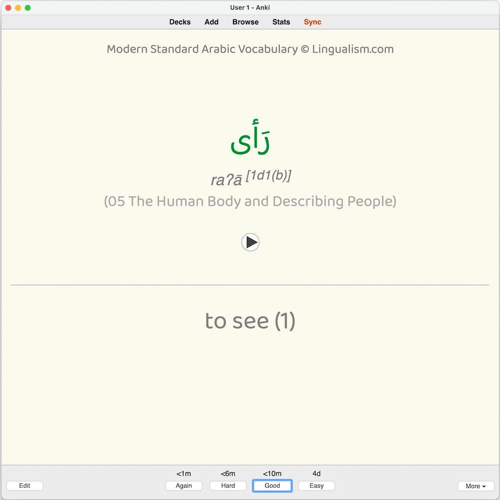 Modern Standard Arabic Vocabulary: Anki Flashcards