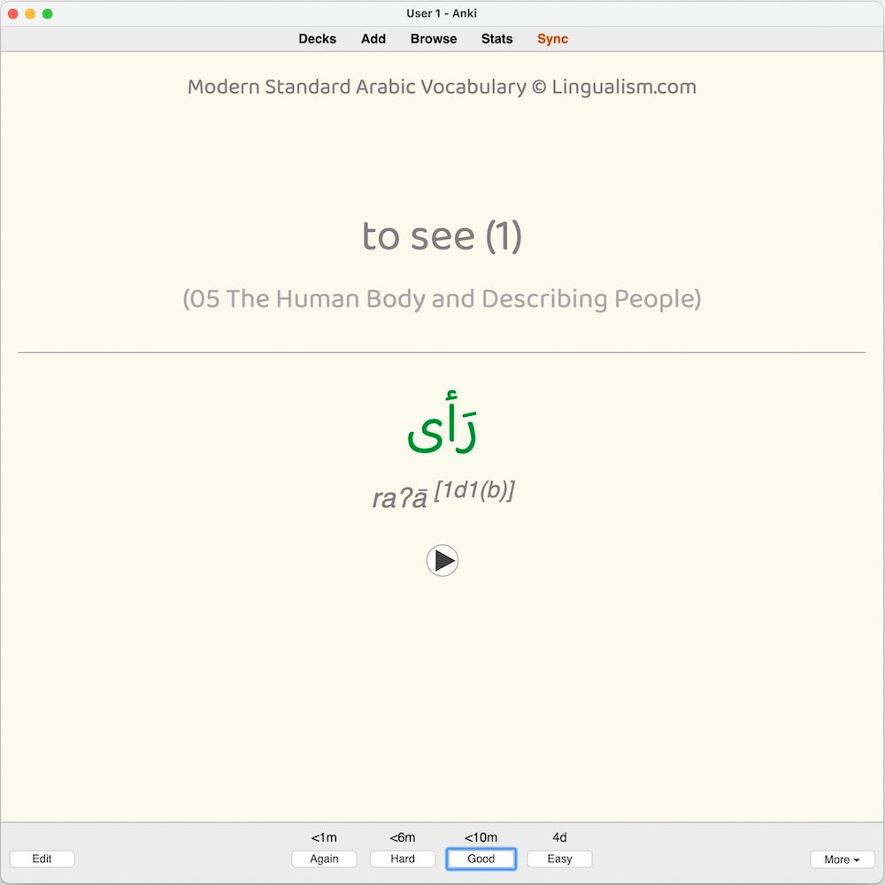 Modern Standard Arabic Vocabulary: Anki Flashcards