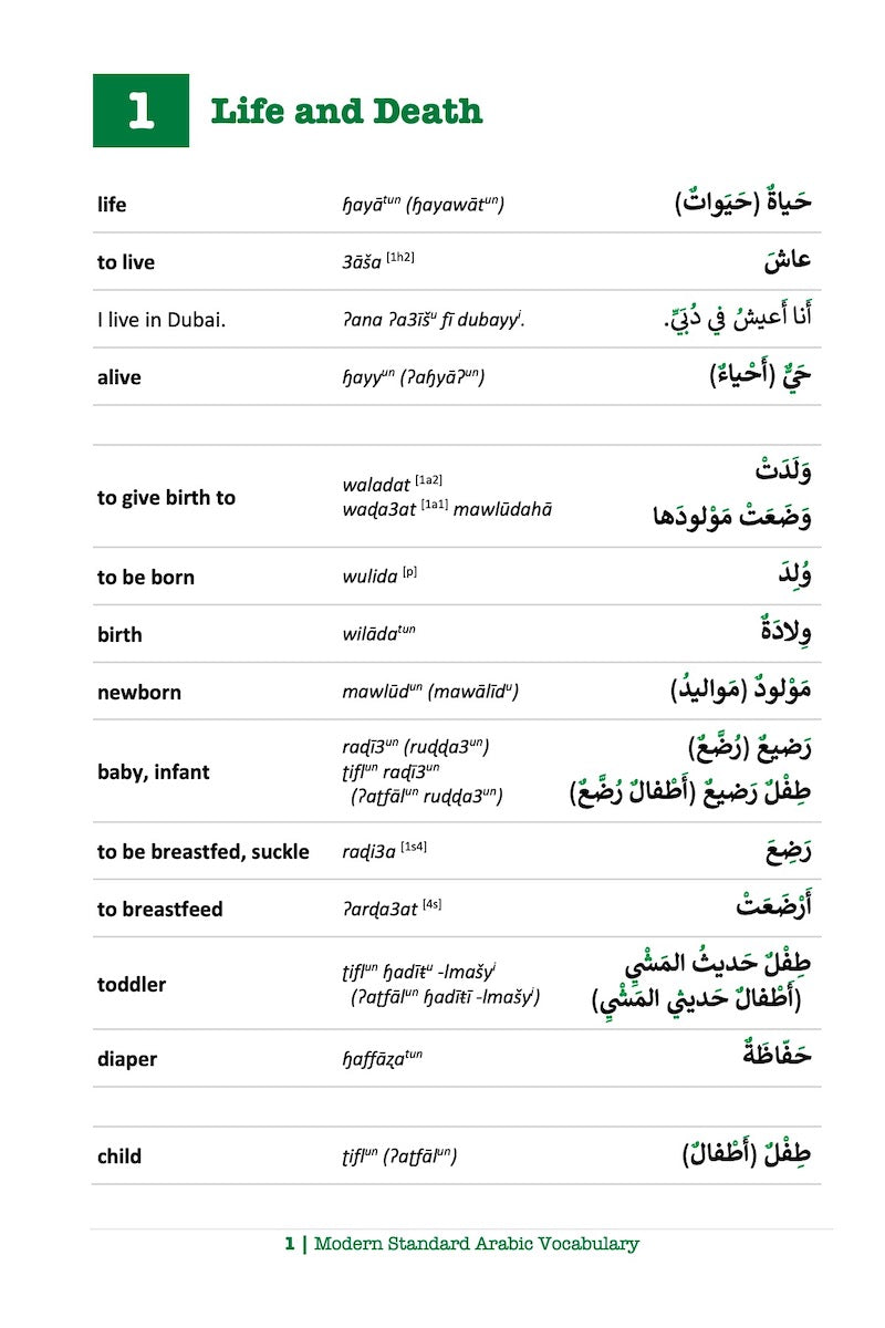 Modern Standard Arabic Vocabulary