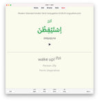 Modern Standard Arabic Verb Conjugation Drills: Anki Flashcards (Set 2)