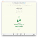 Modern Standard Arabic Verb Conjugation Drills: Anki Flashcards (Set 3)