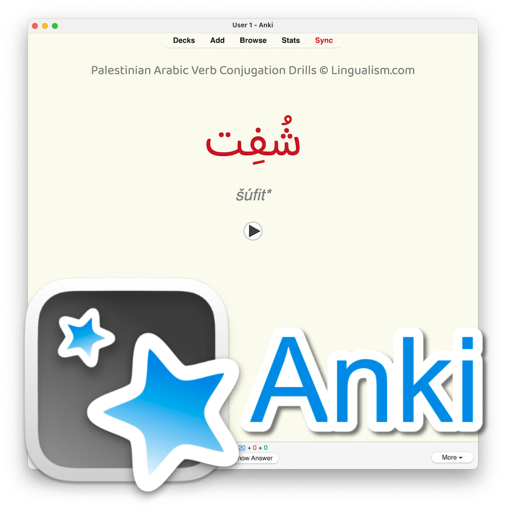 Palestinian Arabic Verb Conjugation Drills: Anki Flashcards (Set 1)