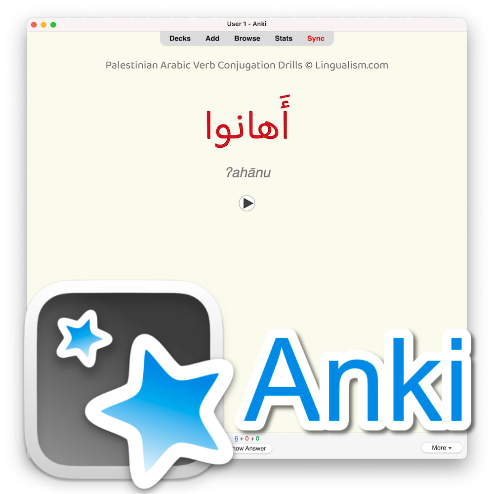 Palestinian Arabic Verb Conjugation Drills: Anki Flashcards (Set 2)