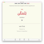 Palestinian Arabic Verb Conjugation Drills: Anki Flashcards (Set 2)