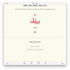 Palestinian Arabic Verb Conjugation Drills: Anki Flashcards (Set 2)