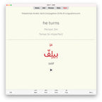 Palestinian Arabic Verb Conjugation Drills: Anki Flashcards (Set 2)