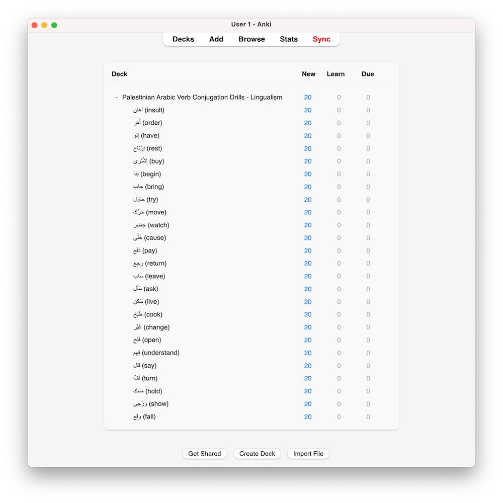 Palestinian Arabic Verb Conjugation Drills: Anki Flashcards (Set 2)