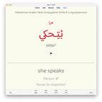 Palestinian Arabic Verb Conjugation Drills: Anki Flashcards (Set 3)