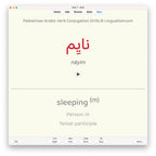Palestinian Arabic Verb Conjugation Drills: Anki Flashcards (Set 3)