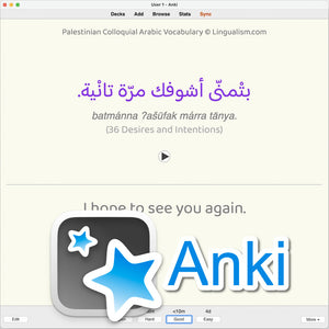 Palestinian Colloquial Arabic Vocabulary: Anki Flashcards