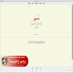 Romeo and Juliet: Anki Flashcards