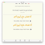 Random Egyptian Arabic A1: Anki Flashcards