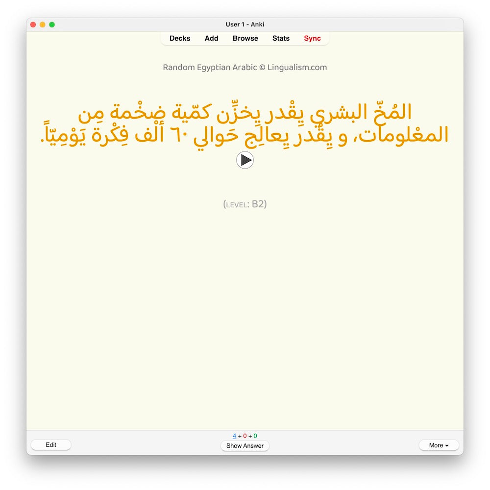Random Egyptian Arabic B2: Anki Flashcards