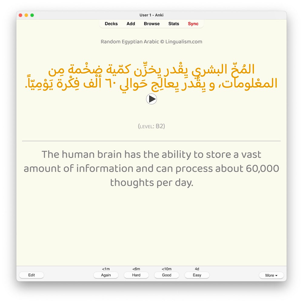 Random Egyptian Arabic B2: Anki Flashcards