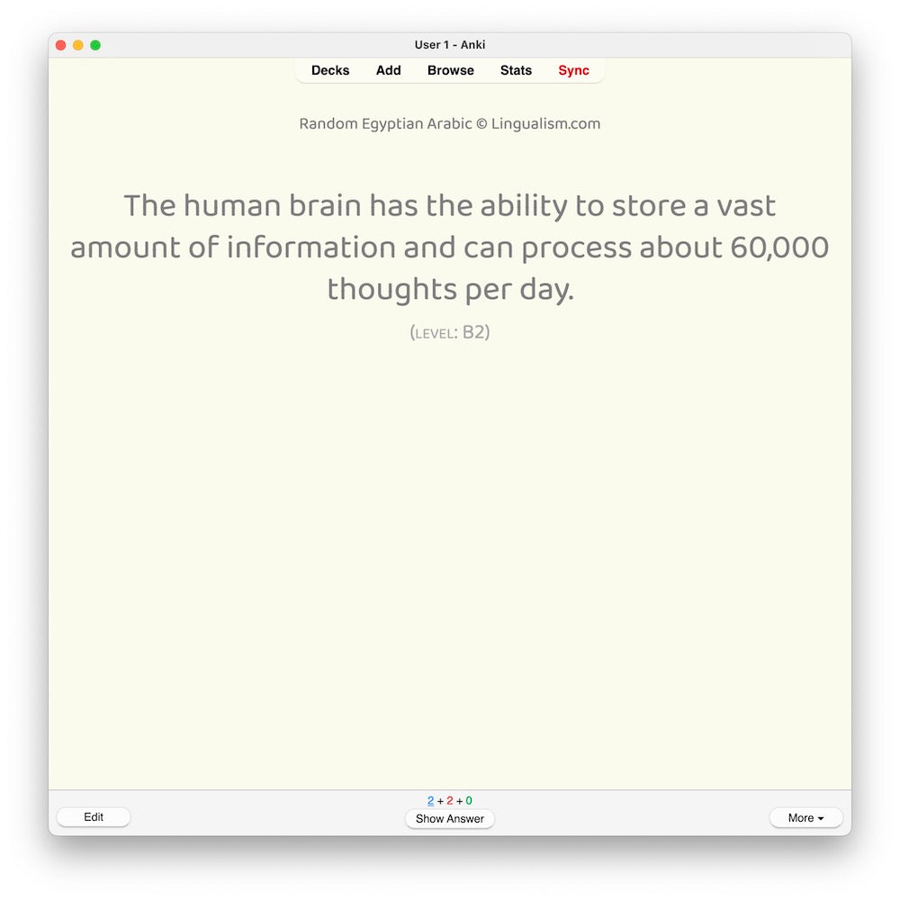 Random Egyptian Arabic B2: Anki Flashcards
