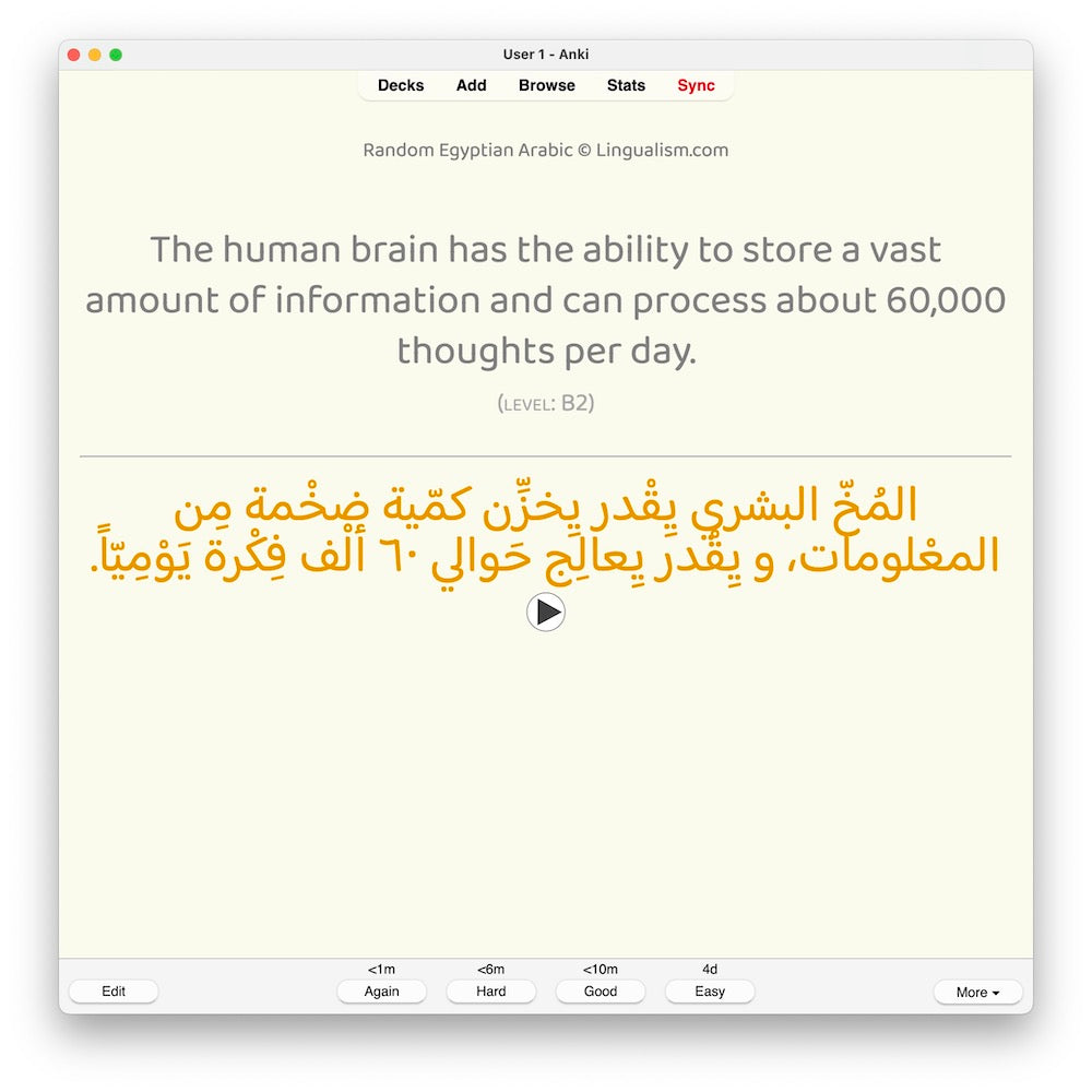 Random Egyptian Arabic B2: Anki Flashcards