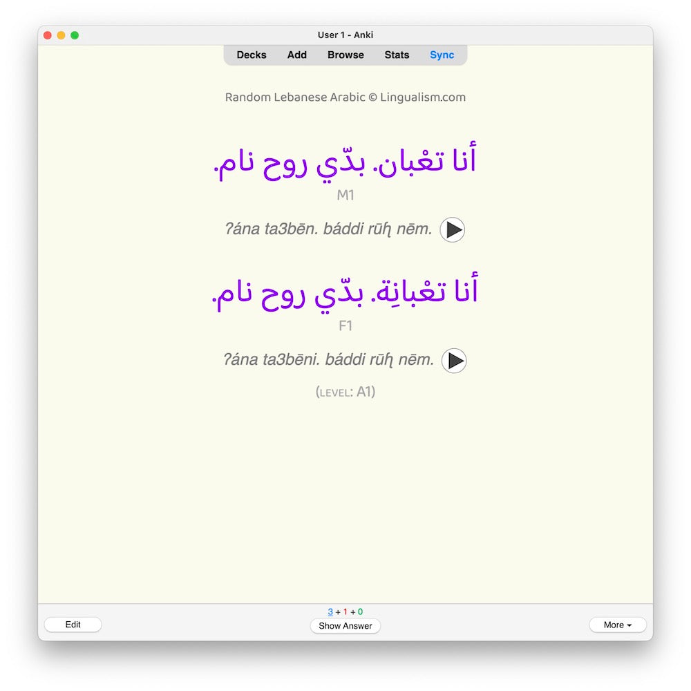 random-la-a1-anki-preview-3