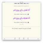 random-la-a1-anki-preview-4