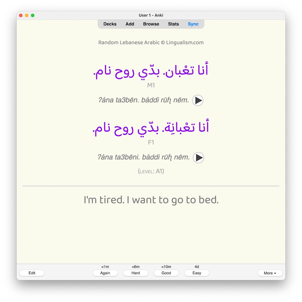 random-la-a1-anki-preview-4