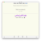 random-la-a1-anki-preview-6