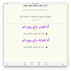 random-la-a1-anki-preview-8