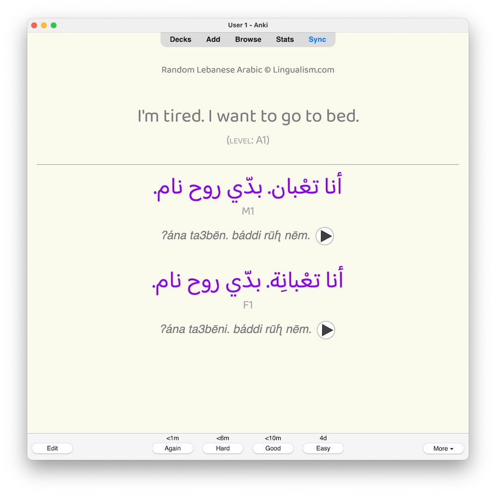 random-la-a1-anki-preview-8
