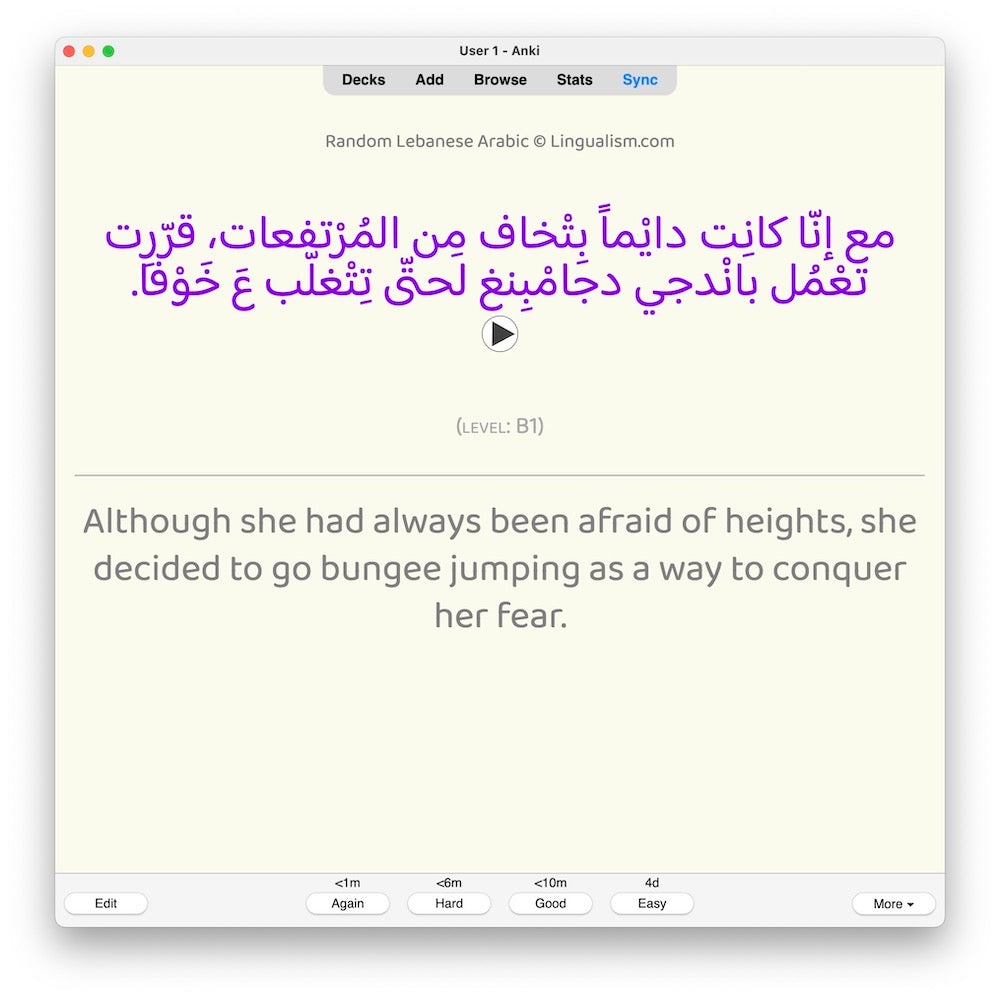 random-la-b1-anki-preview-4