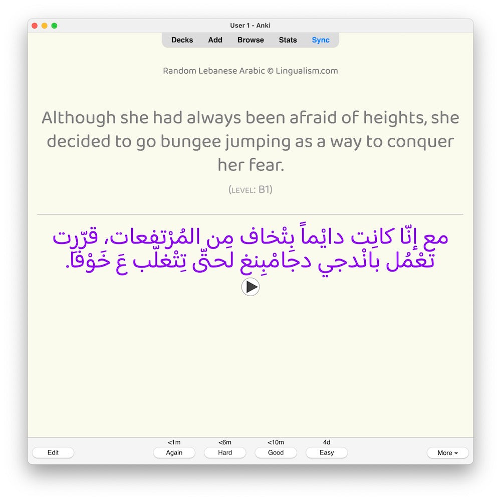 random-la-b1-anki-preview-8